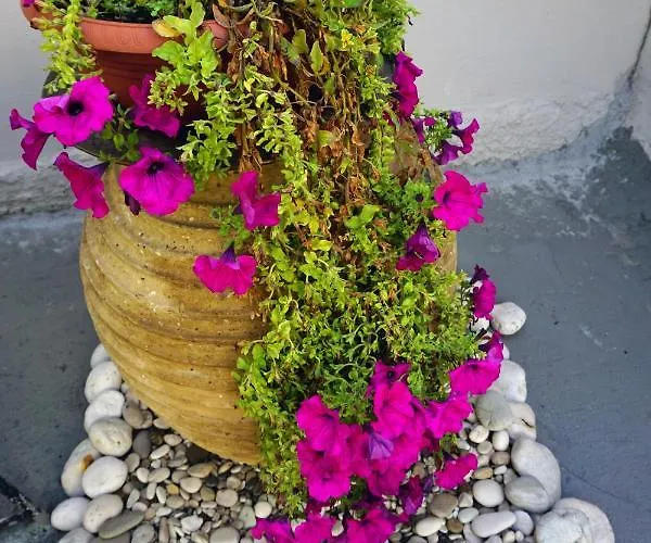 Landhuis Modern 10mins From The